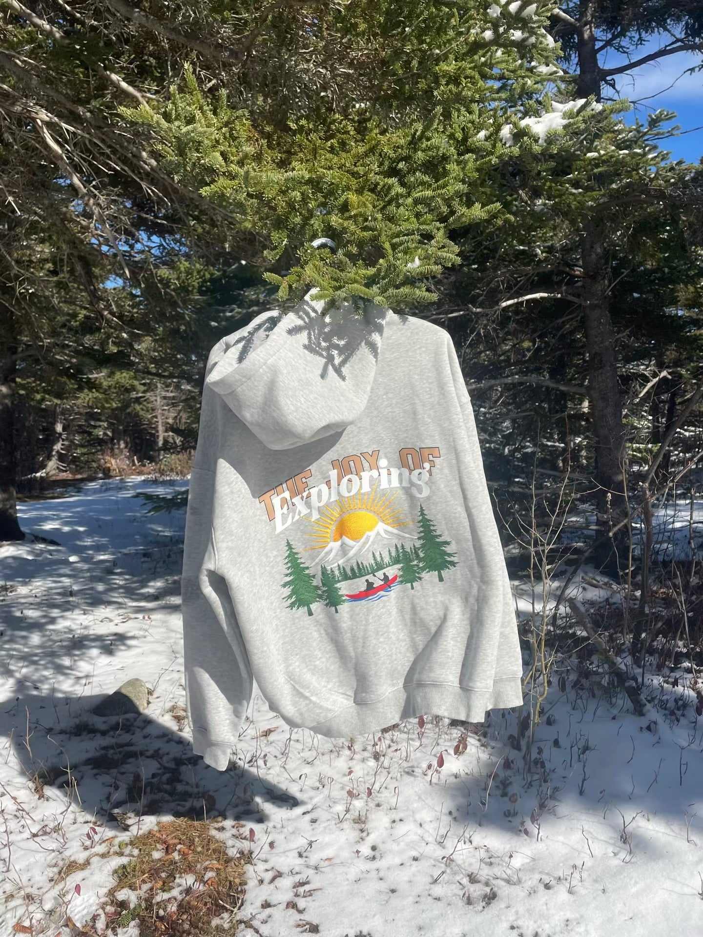 Joy of Exploring Hoodie Grey